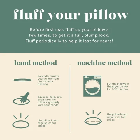 Decorative Down Feathers Fill Square Pillow Insert (Set of 2)