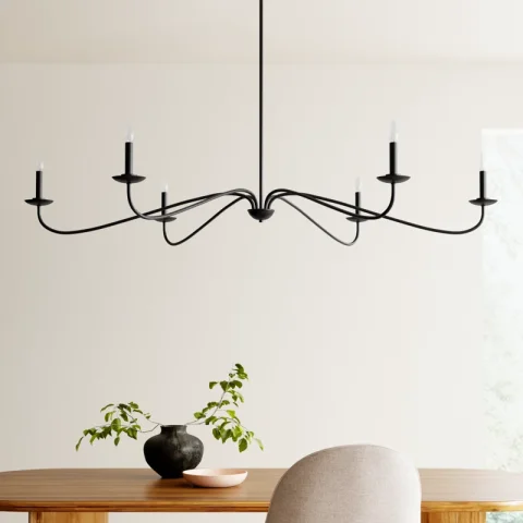 Zoyla 6-Light Chandelier in Matte Black